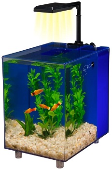 BEST WITH FILTER GALLON BETTA FISH TANK