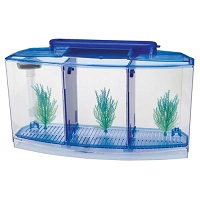 BEST WITH FILTER HOSPITAL TANK FOR BETTA summary