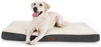 BEST XL CRATE BED FOR PUPPIES