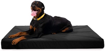 BEST XL DOG CRATE MATTRESS