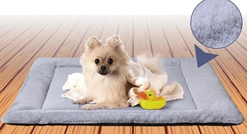 BEST XL DOG CRATE PAD WASHABLE