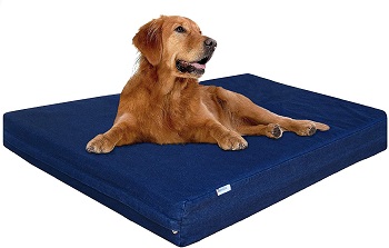 BEST XL MEMORY FOAM DOG CRATE PAD