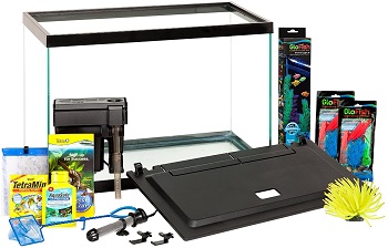 GloFish Aquarium Kit Fish Tank