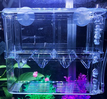 J-star Aquarium Breeder Box