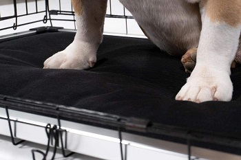 K9 Ballistics Armored Dog Crate Pad