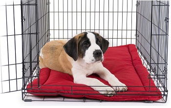 K9 Ballistics Tough Dog Crate Pad