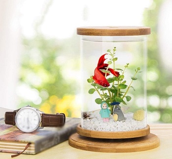 LXFTK Bamboo Wood Mini Fish Tank