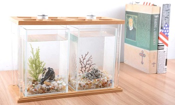 LXFTK Desktop Mini Fish Tank