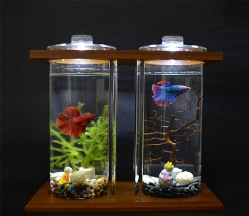 NA Glass Aquarium