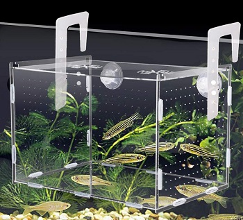 Originalidad Fish Breeding Box