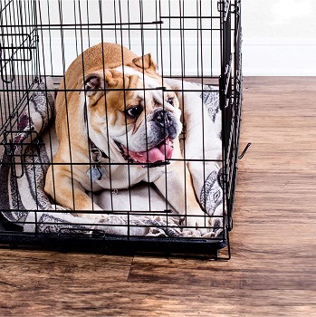 OxGord Steel Wire Dog Crate