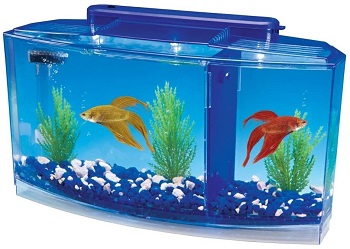 Penn Plax Deluxe Aquarium Tank
