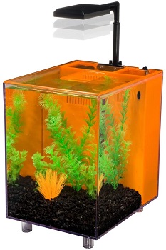 Penn Plax Prism Nano Aquarium