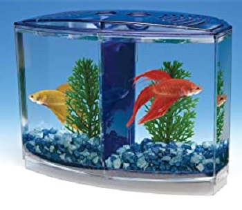 Penn Plax Twin Aquarium