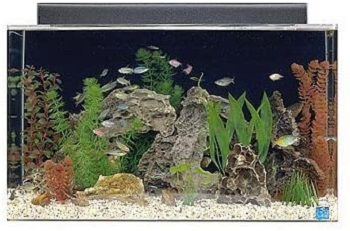 SeaClear Acrylic Aquarium Combo Set