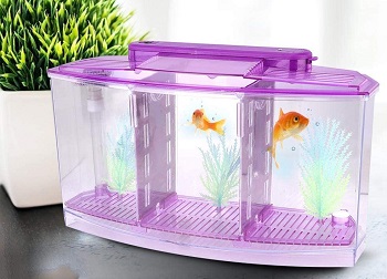 Sutinna Fish Tank