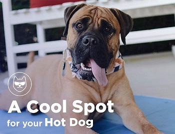 The Green Pet Shop Dog Cooling Mat