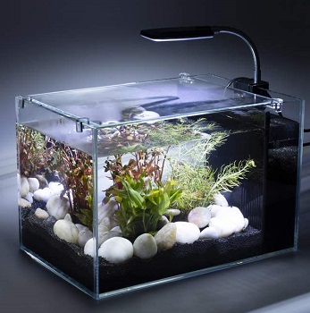 UPLY Aquarium Kit