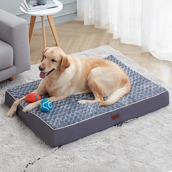 Western Home Orthopedic Dog Bed