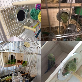 Yjjkj Parakeet Breeding Box