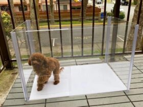 acrylic dog cratess