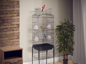 antique-wrought-iron-bird-cage