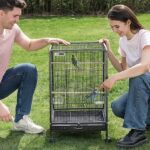 cheap big bird cages