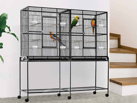 cheap-parakeet-cages