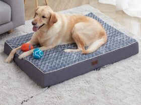dog-crate-pads-beds-washable