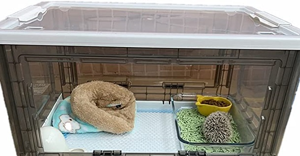 hedgehog cage