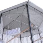 large antique bird cage