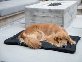 large-dog-crate-mat-bed