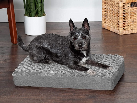 orthopedic-dog-crate-pad-beds