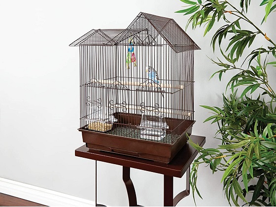 parakeet-bird-house