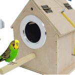 parakeet-breeding-box