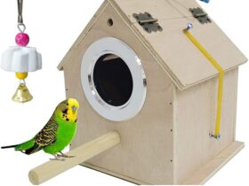 parakeet-breeding-box