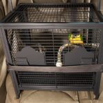 parakeet-carrier-travel-cage