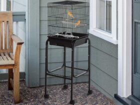 small-parakeet-cage