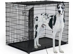 xl-dog-crate-tray