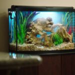 20-GALLON FISH TANK WITH LID
