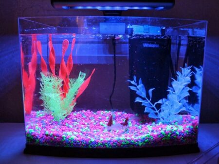 5 gallon glass fish tank non filter round modern