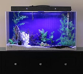 Advance Aqua Tanks Acrylic Rectangle Aquarium