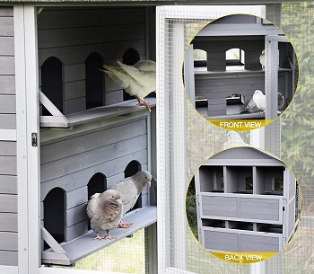 Aivituvin Large Pigeon Cage