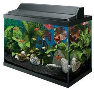 6 Best 30-gallon Breeder Aquarium (Tank) To Buy 2022 Reviews