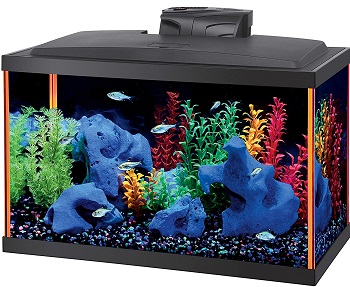 Aqueon Fish Aquarium Starter Kit