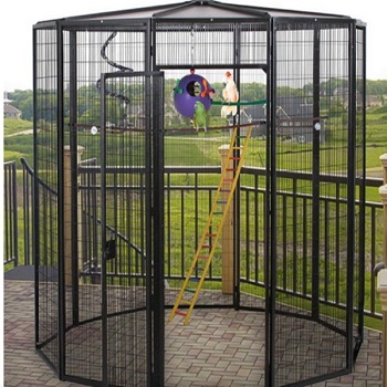 BEST ANTIQUE OUTDOOR PARROT AVIARY