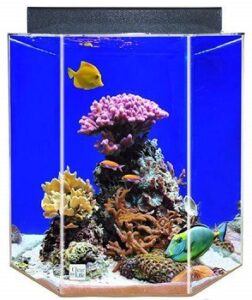 3 Best 35-gallon Hexagon Fish Tank To Purchase 2022 Reviews