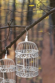 BEST HANGING VINTAGE BIRD CAGE