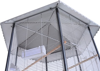 BEST INDOOR PARROT AVIARY