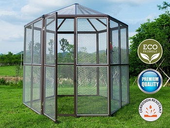 BEST LARGE BACKYARD AVIARY